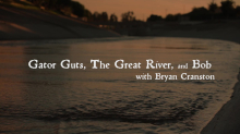 Gator Guts, The Great River, And Bob