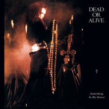 Dead or Alive - Something in My House