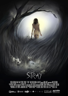 Stray
